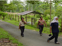 Visitors walk to enclosures